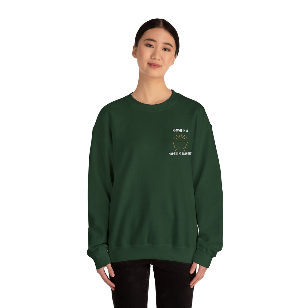 Christmas Embroidered Crewneck Sweatshirt