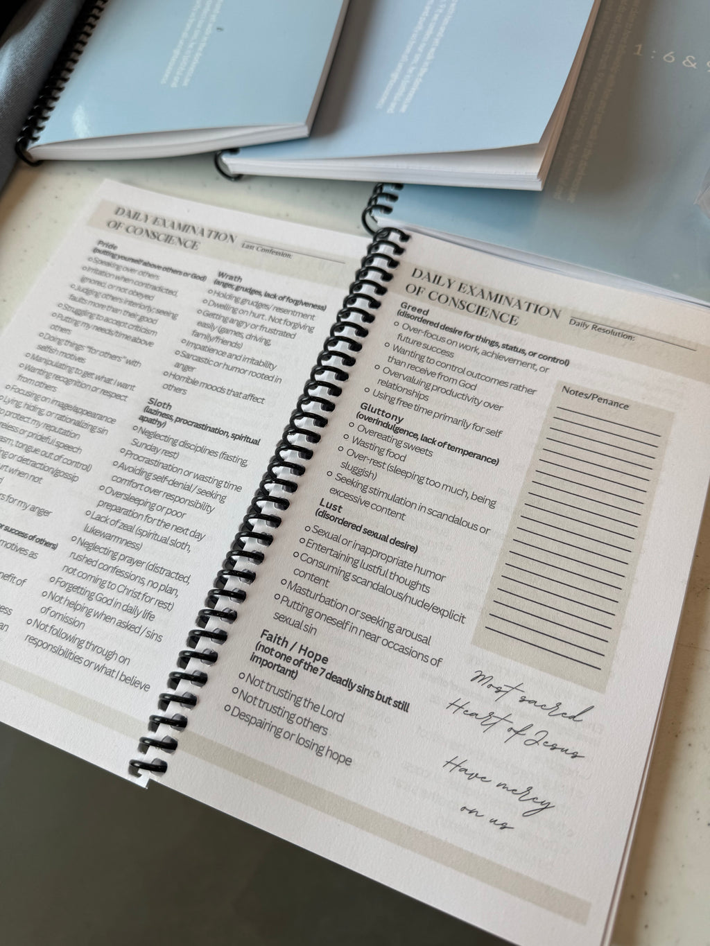 Daily Examination of Conscience Journal